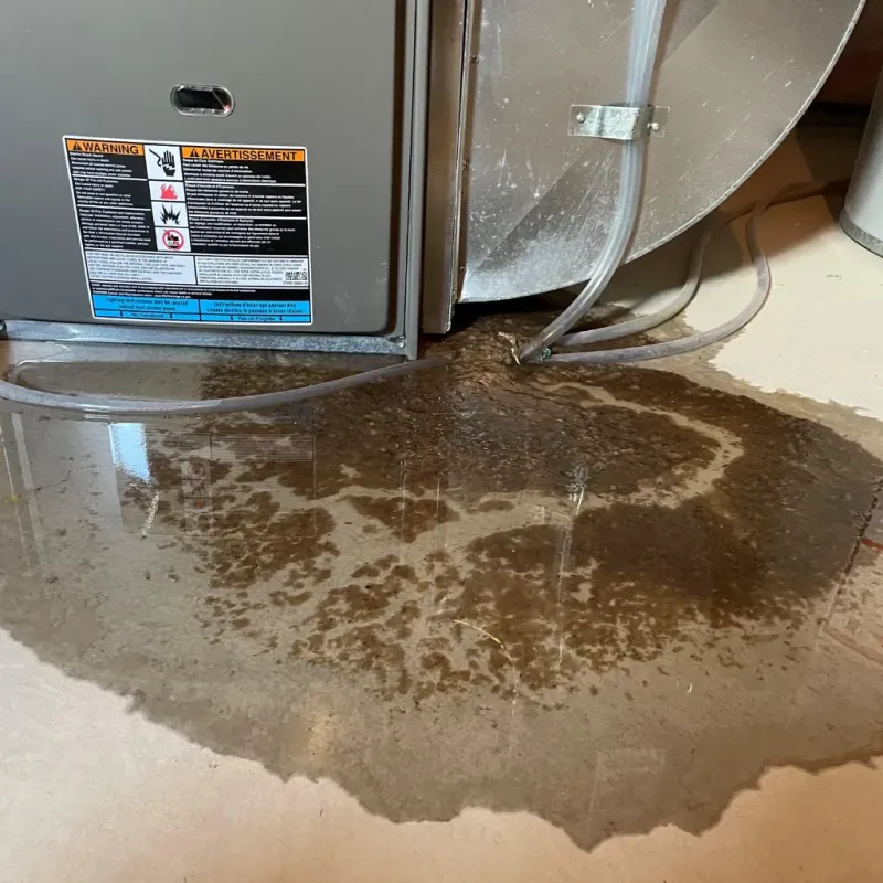 Appliance Leak Cleanup in Carlton, OR