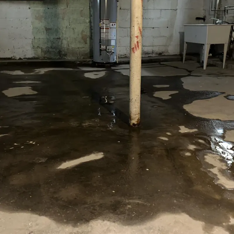 Emergency Water Extraction And Removal in Carlton, OR